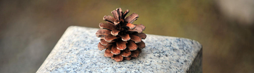 REISHI